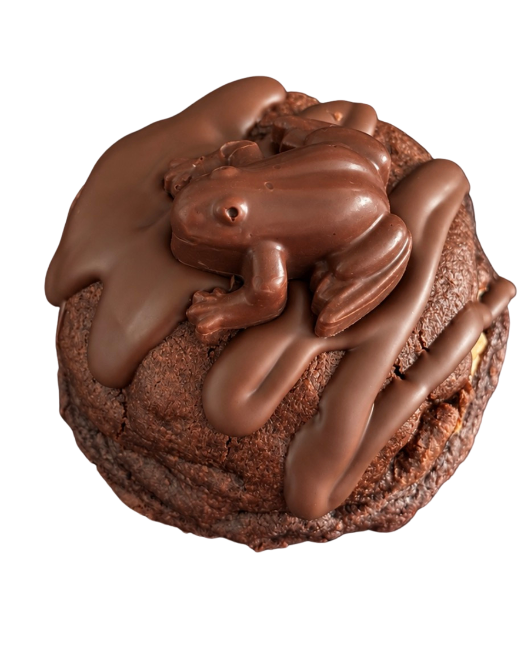 TOADALLY CHOCOLATE