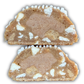 CINNA POP