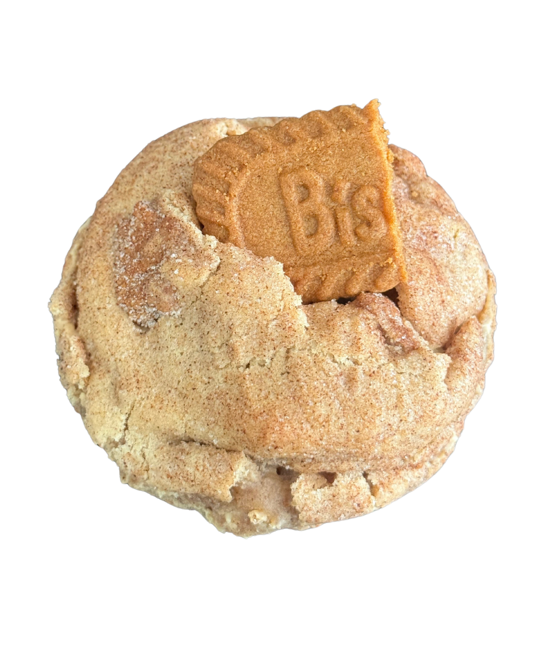 BROWN BUTTER LOTUS SNICKERDOODLE
