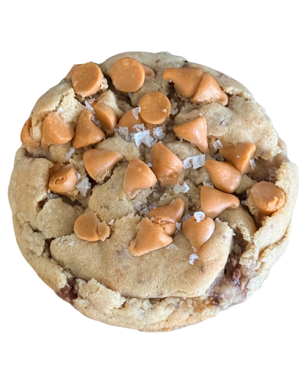 BROWN BUTTER BUTTERSCOTCH FLATTY
