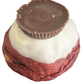RED VELVET LOVE AFFAIR